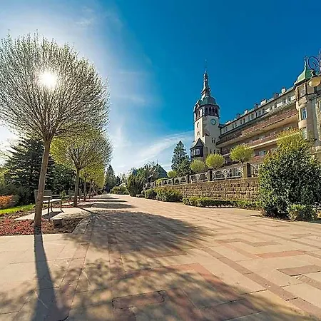 Magnolia Świeradów-Zdrój